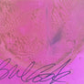 Paul Cook's Signed Club Lafayette Ticket