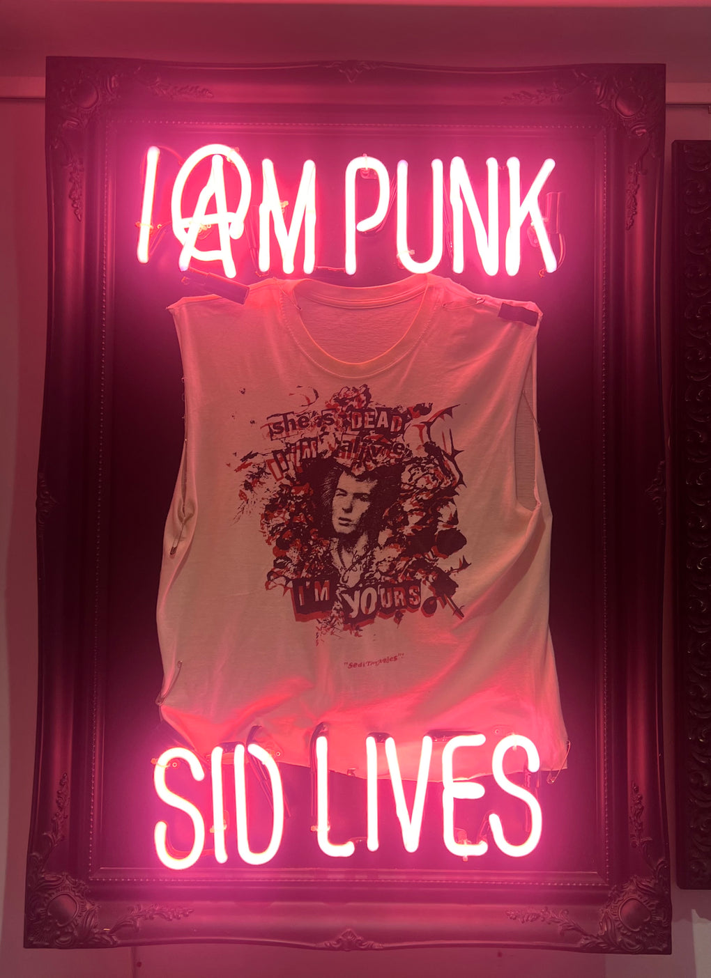 I Am Punk, Sid Lives / She’s Dead, I’m Alive, I’m Yours