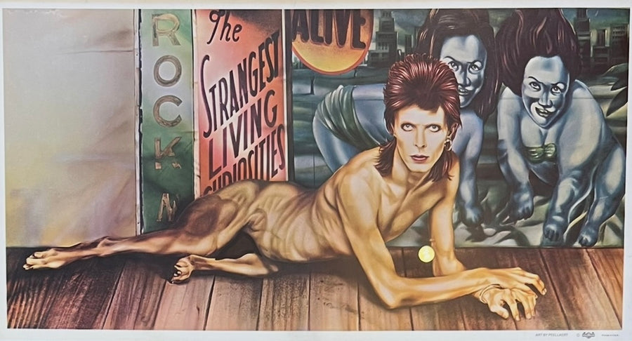 Diamond Dogs