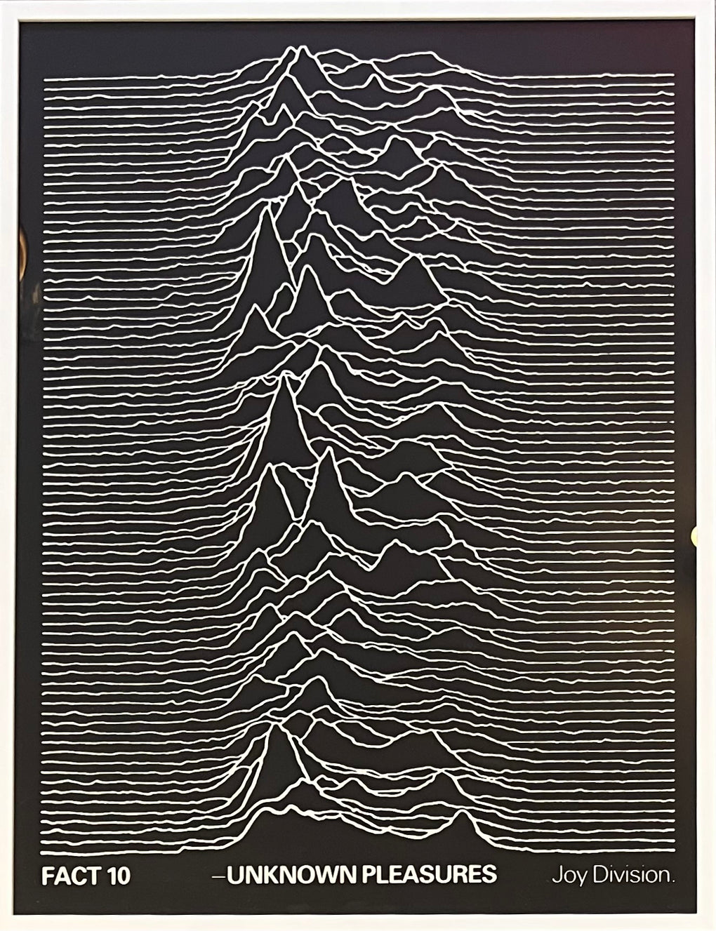 Unknown Pleasures